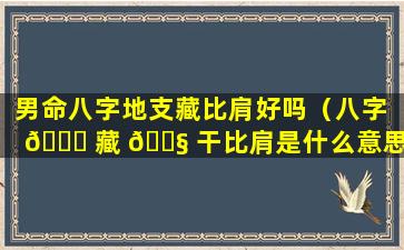 男命八字地支藏比肩好吗（八字 🍁 藏 🐧 干比肩是什么意思）